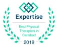 Expertise 2019 Award